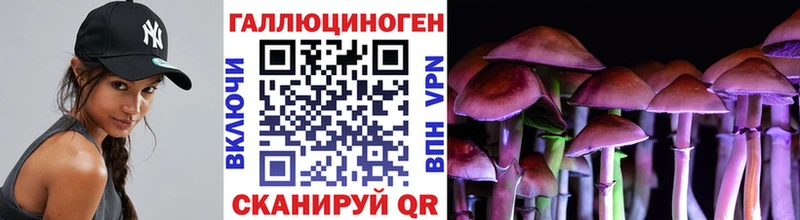 сколько стоит Лениногорск мега ссылки Галлюциногенные грибы мухоморы